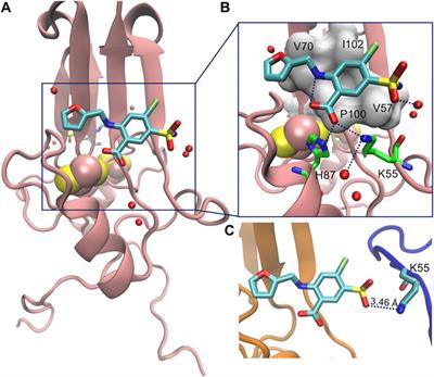 Multiple Poses and Thermodynamics of Ligands Targeting Protein Surfaces: The Case of Furosemide Binding to mitoNEET in Aqueous Solution